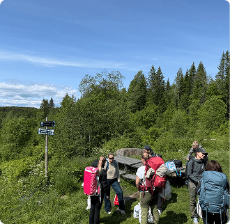 Tur med venner i sommerskogen